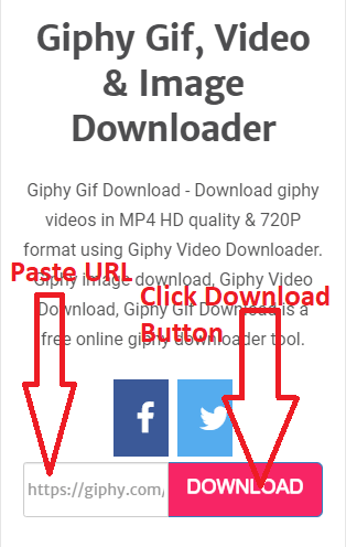 Pinterest Video Downloader