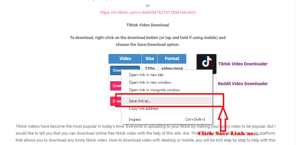 Pinterest Video Downloader