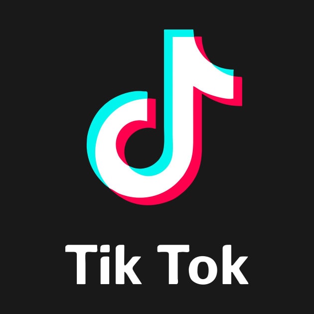 Tik Tok Video Downloader