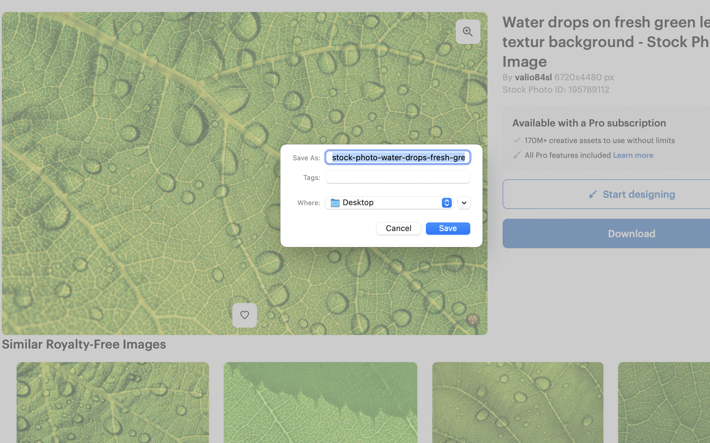 Creativefabrica Downloader